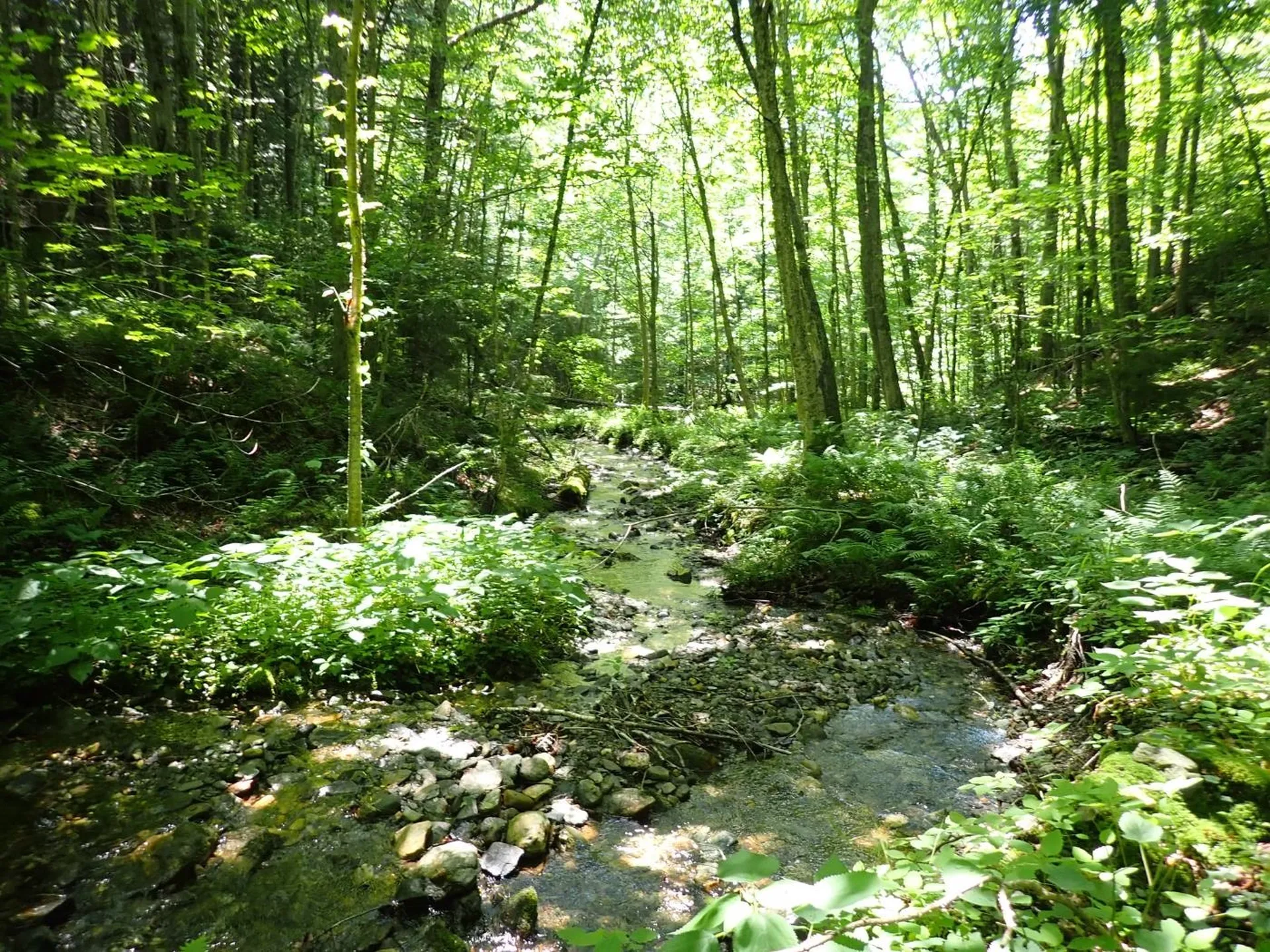 00 Plunkton Road Warren VT 05674