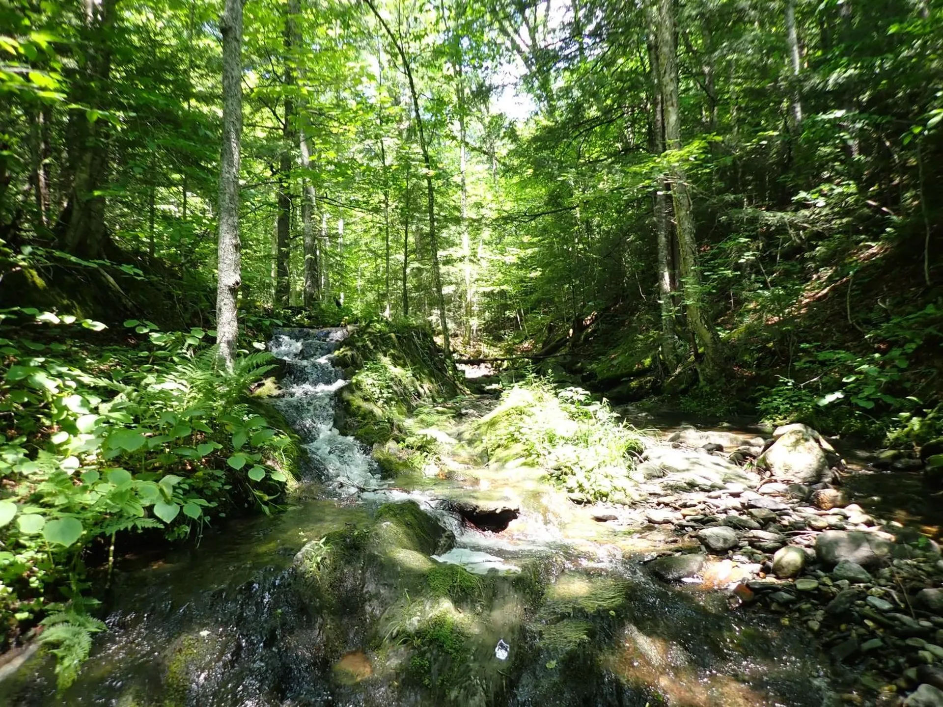 00 Plunkton Road Warren VT 05674