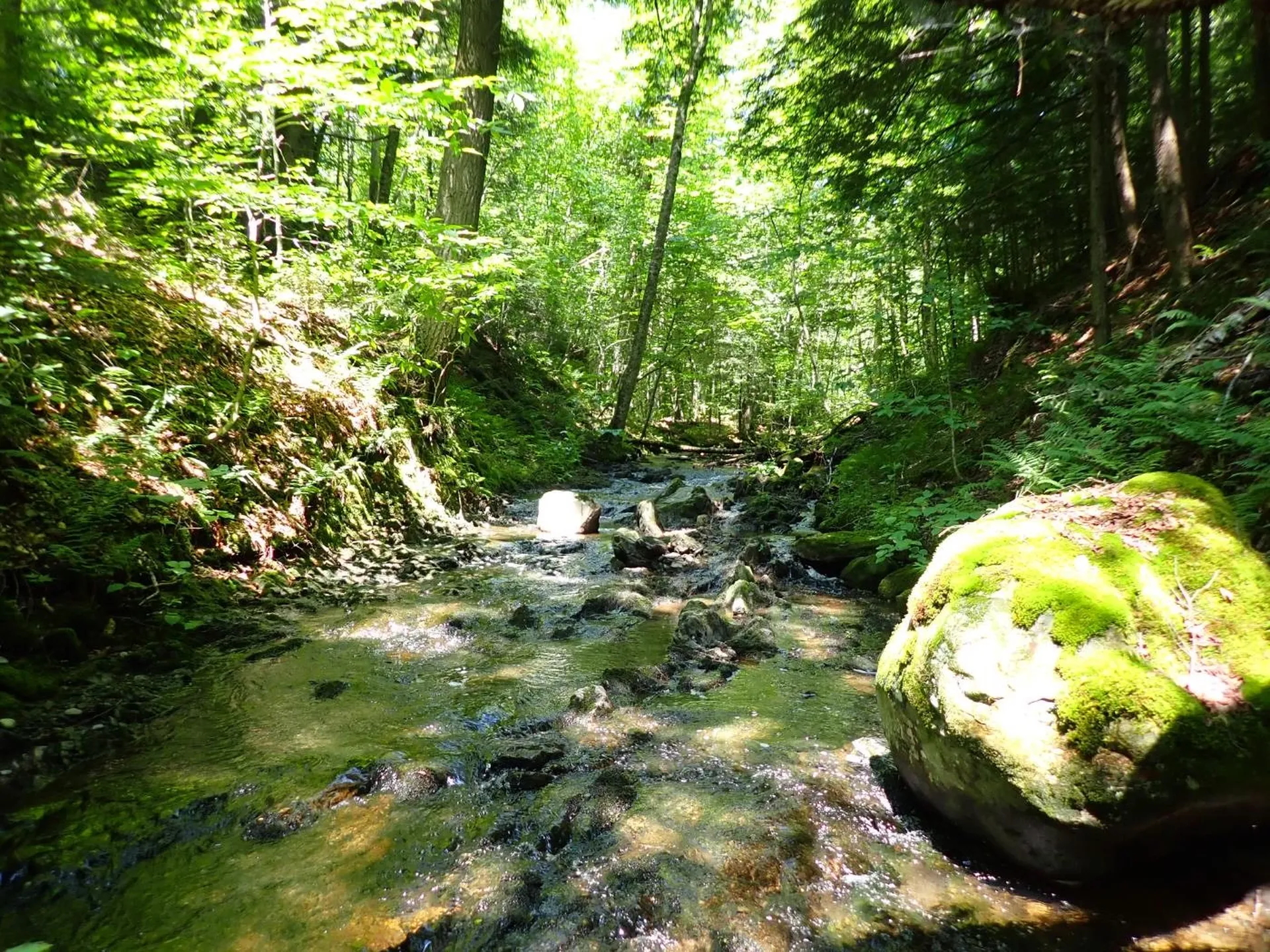 00 Plunkton Road Warren VT 05674