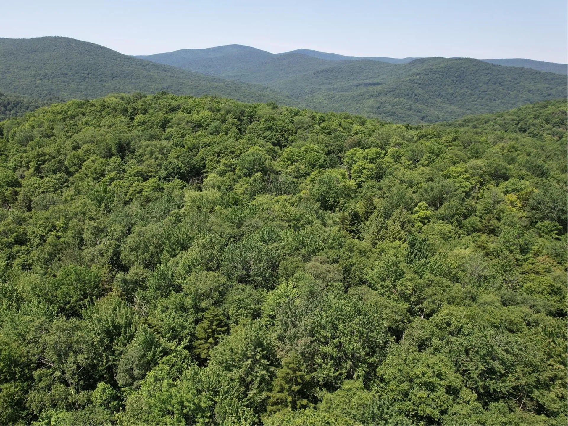 00 Plunkton Road Warren VT 05674