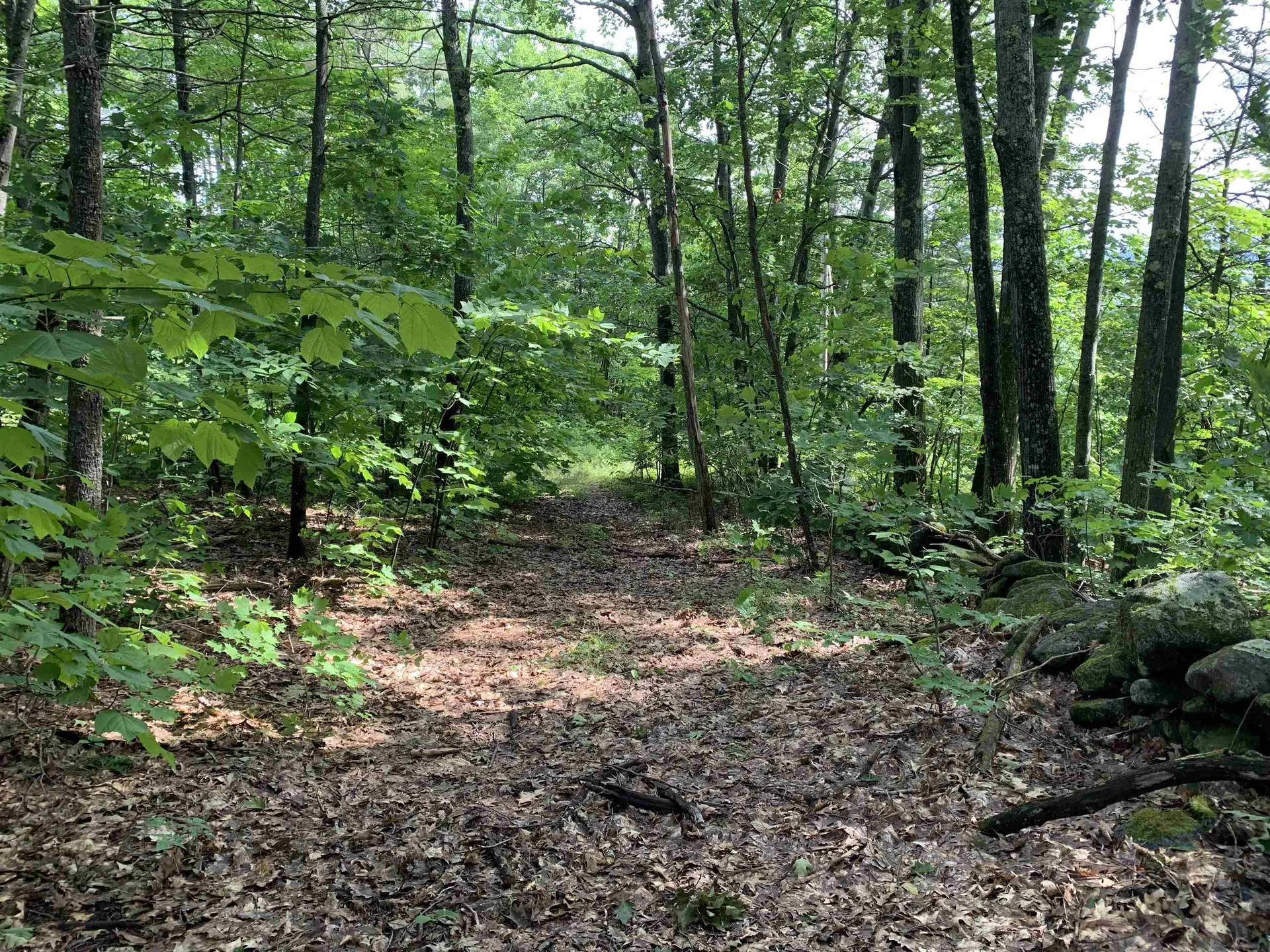 1250 Nh Route 25a Orford NH 03777