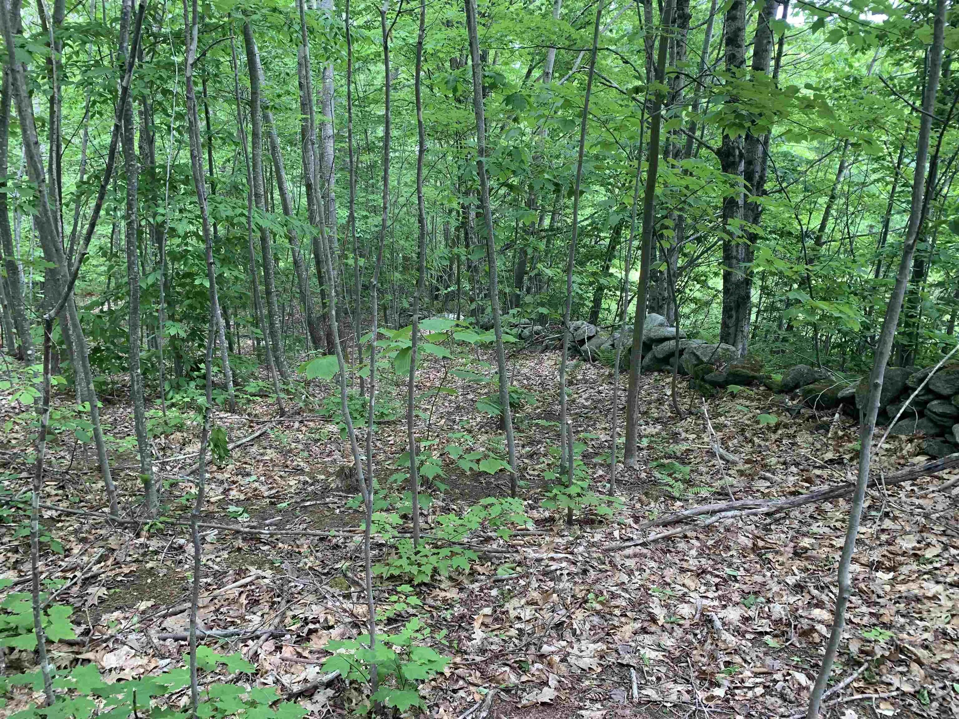 1250 Nh Route 25a Orford NH 03777