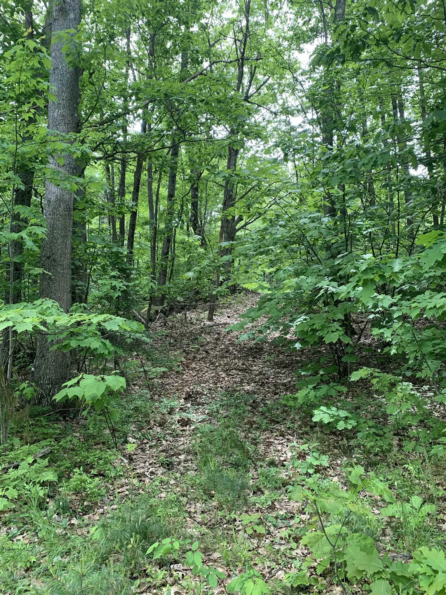 1250 Nh Route 25a Orford NH 03777