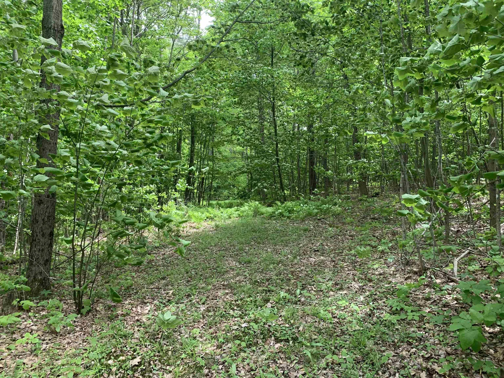 1250 Nh Route 25a Orford NH 03777