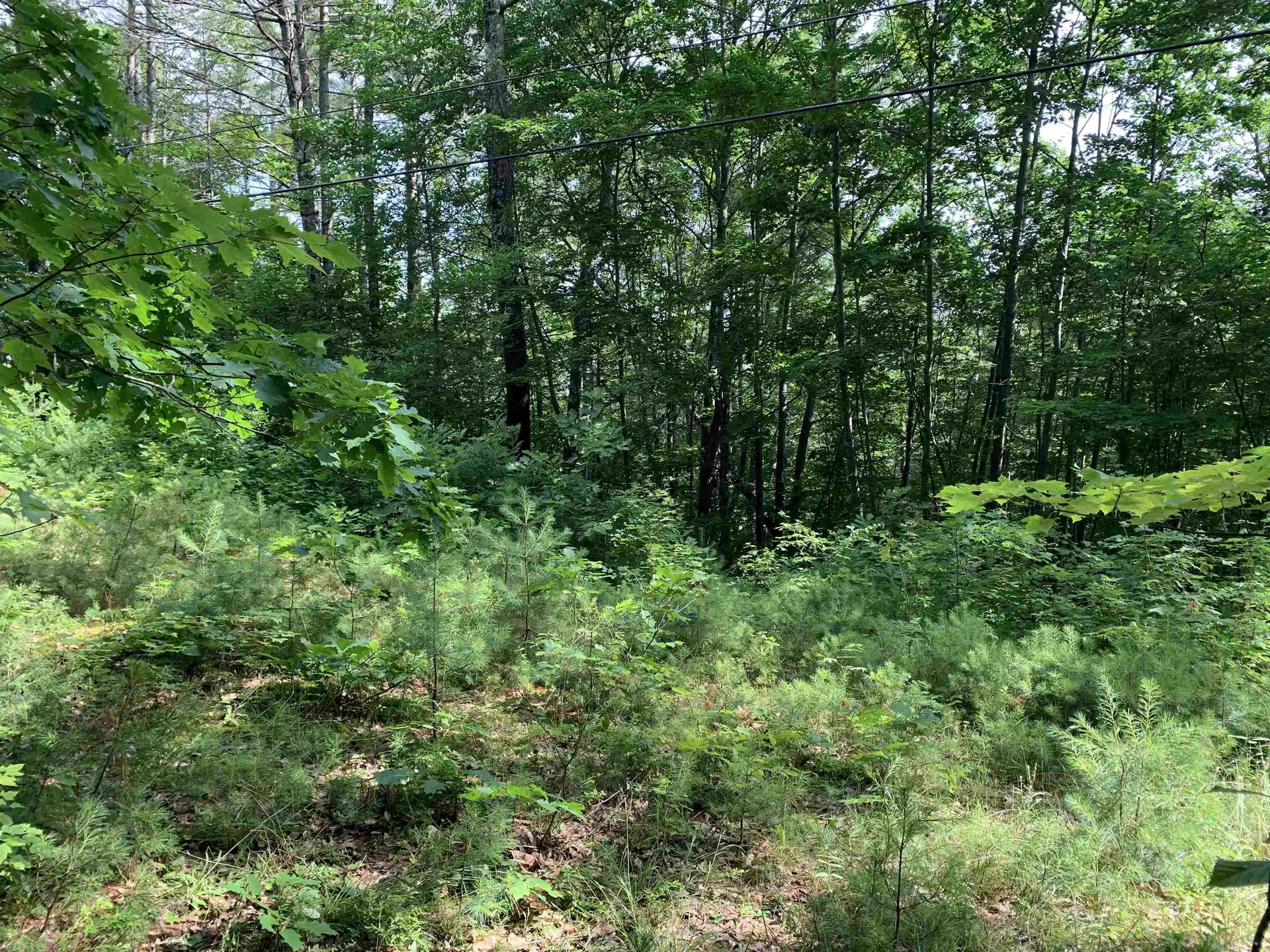 1250 Nh Route 25a Orford NH 03777