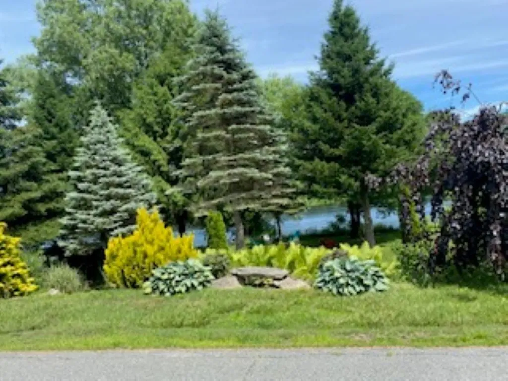 646 Old Connecticut River Road Springfield VT 05156