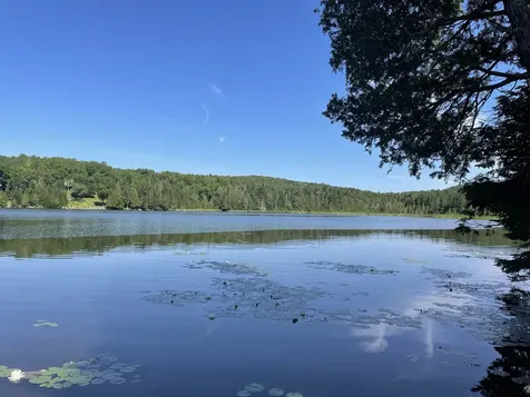 Off Fish Pond Road Columbia NH 03576