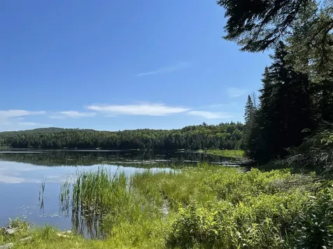 Off Fish Pond Road Columbia NH 03576