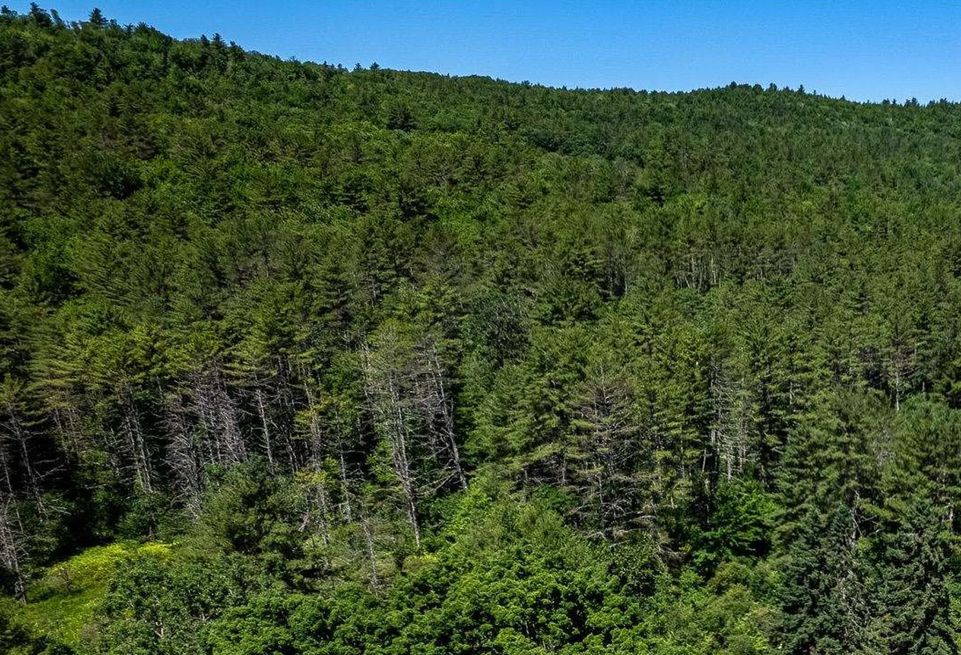 00 Cutler Road Plainfield NH 03781