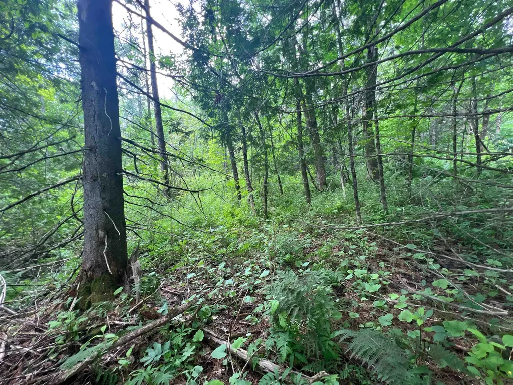 0 Berry Hill Road Sheffield VT 05866