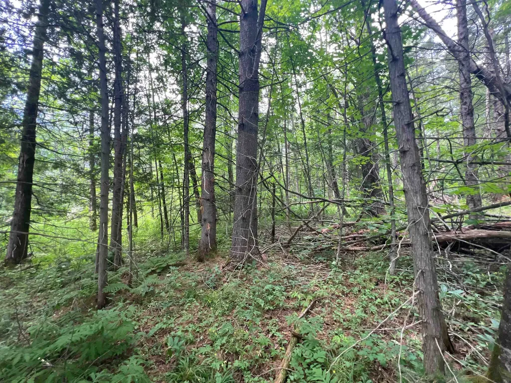 0 Berry Hill Road Sheffield VT 05866