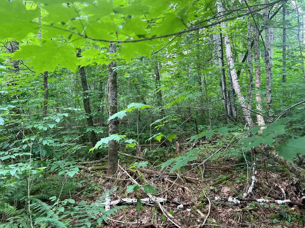 0 Berry Hill Road Sheffield VT 05866