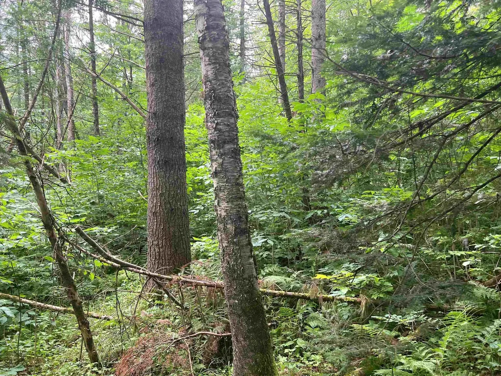 0 Berry Hill Road Sheffield VT 05866