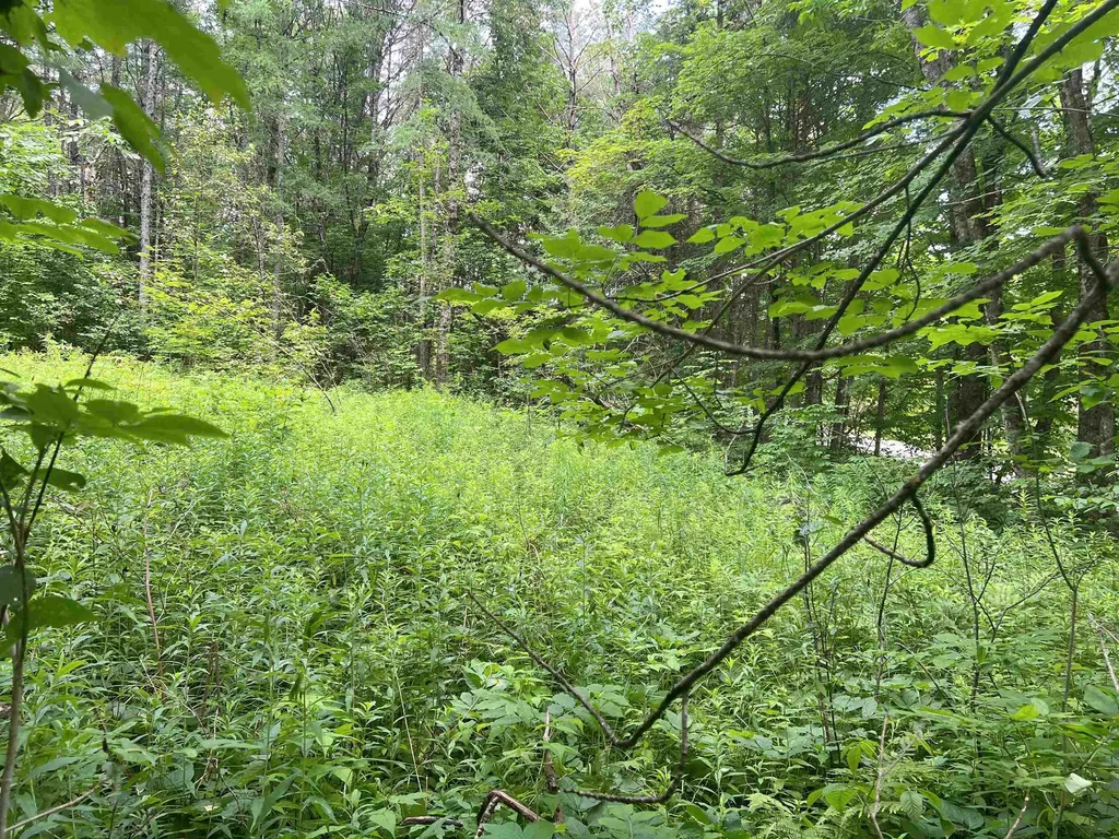 0 Berry Hill Road Sheffield VT 05866