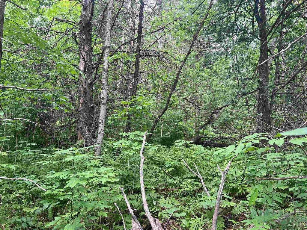 0 Berry Hill Road Sheffield VT 05866