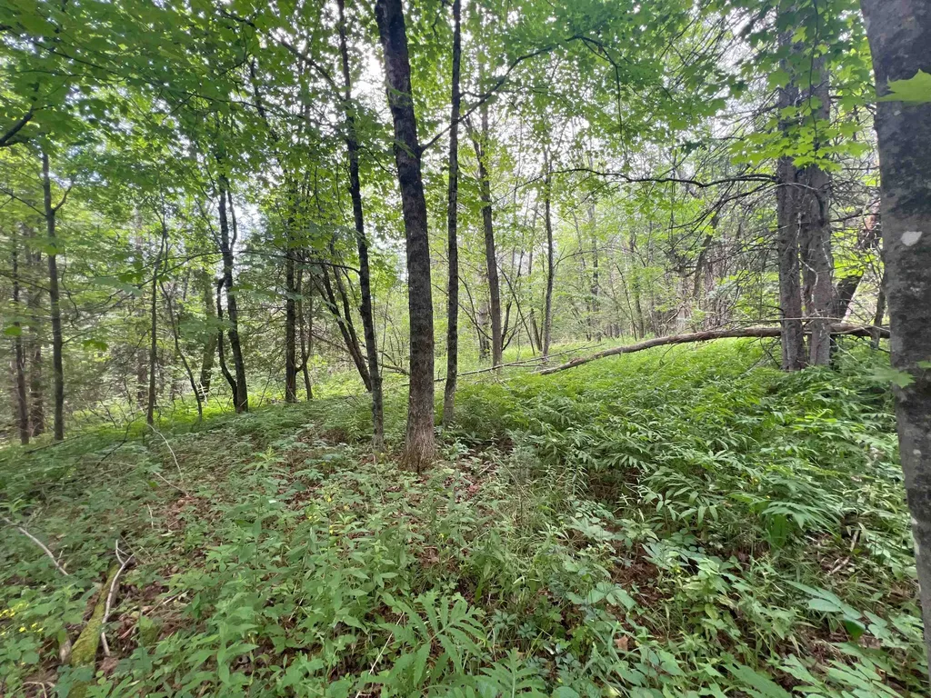 0 Berry Hill Road Sheffield VT 05866