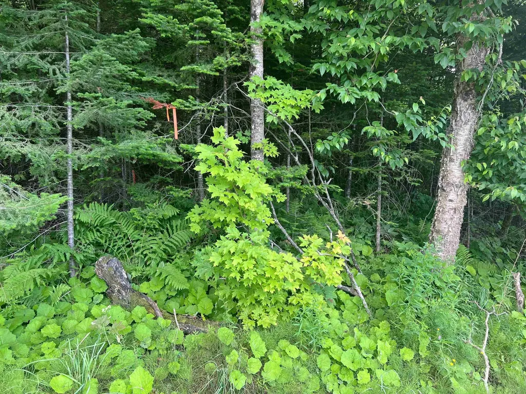 0 Berry Hill Road Sheffield VT 05866