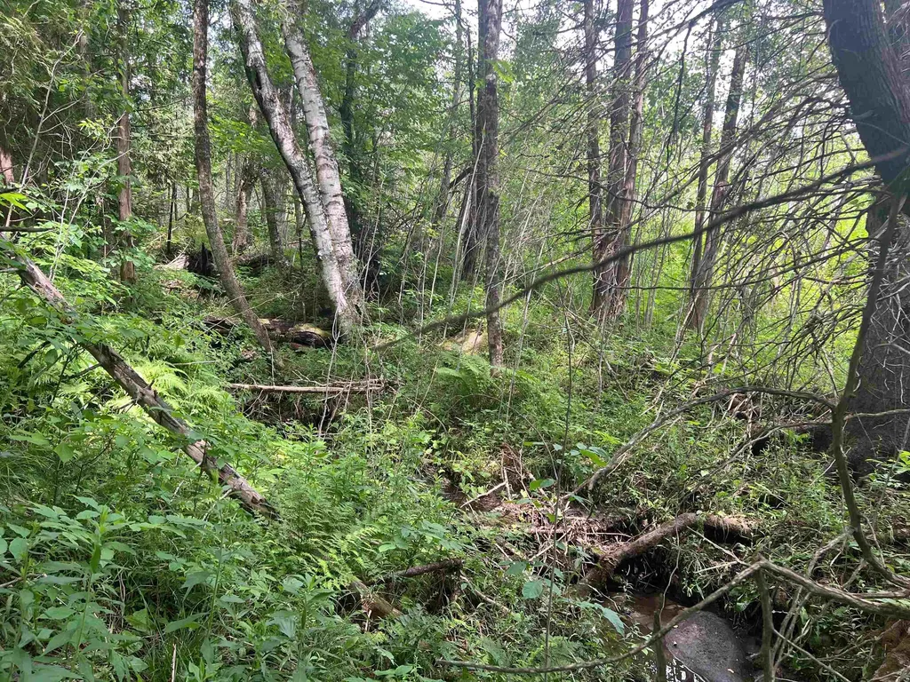 0 Berry Hill Road Sheffield VT 05866