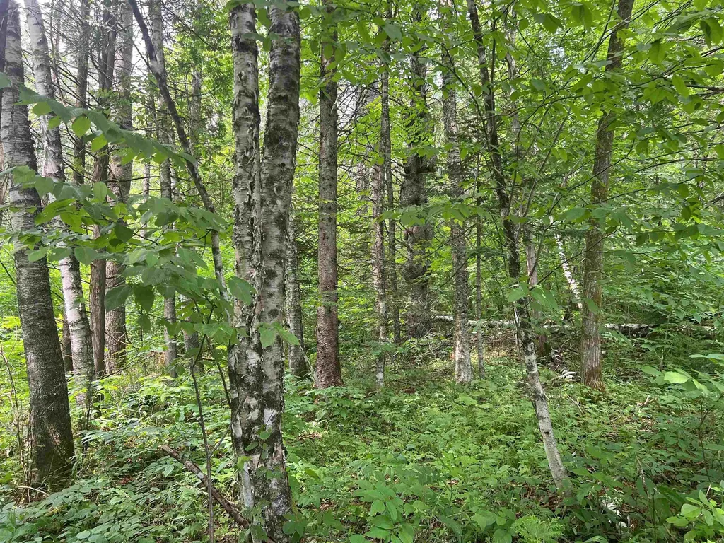 0 Berry Hill Road Sheffield VT 05866