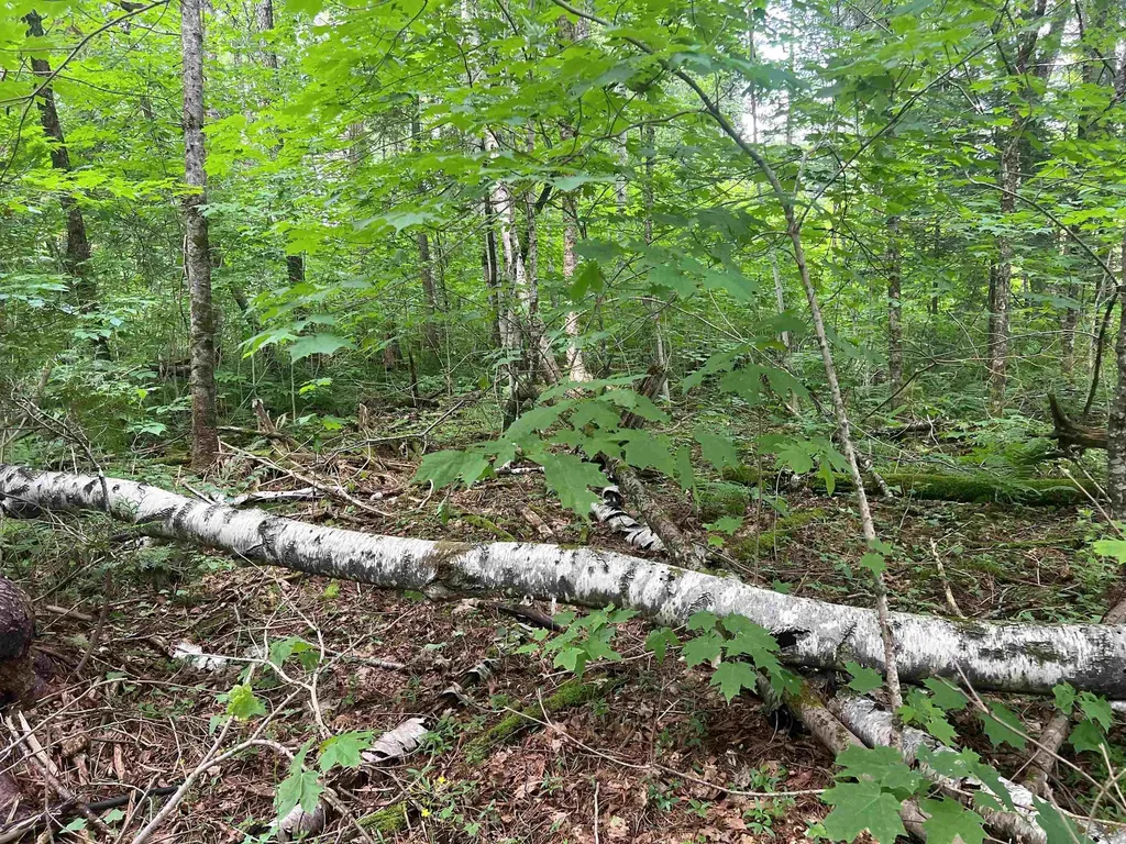 0 Berry Hill Road Sheffield VT 05866