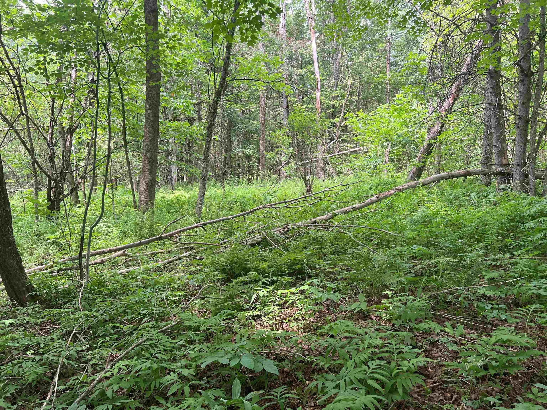 0 Berry Hill Road Sheffield VT 05866