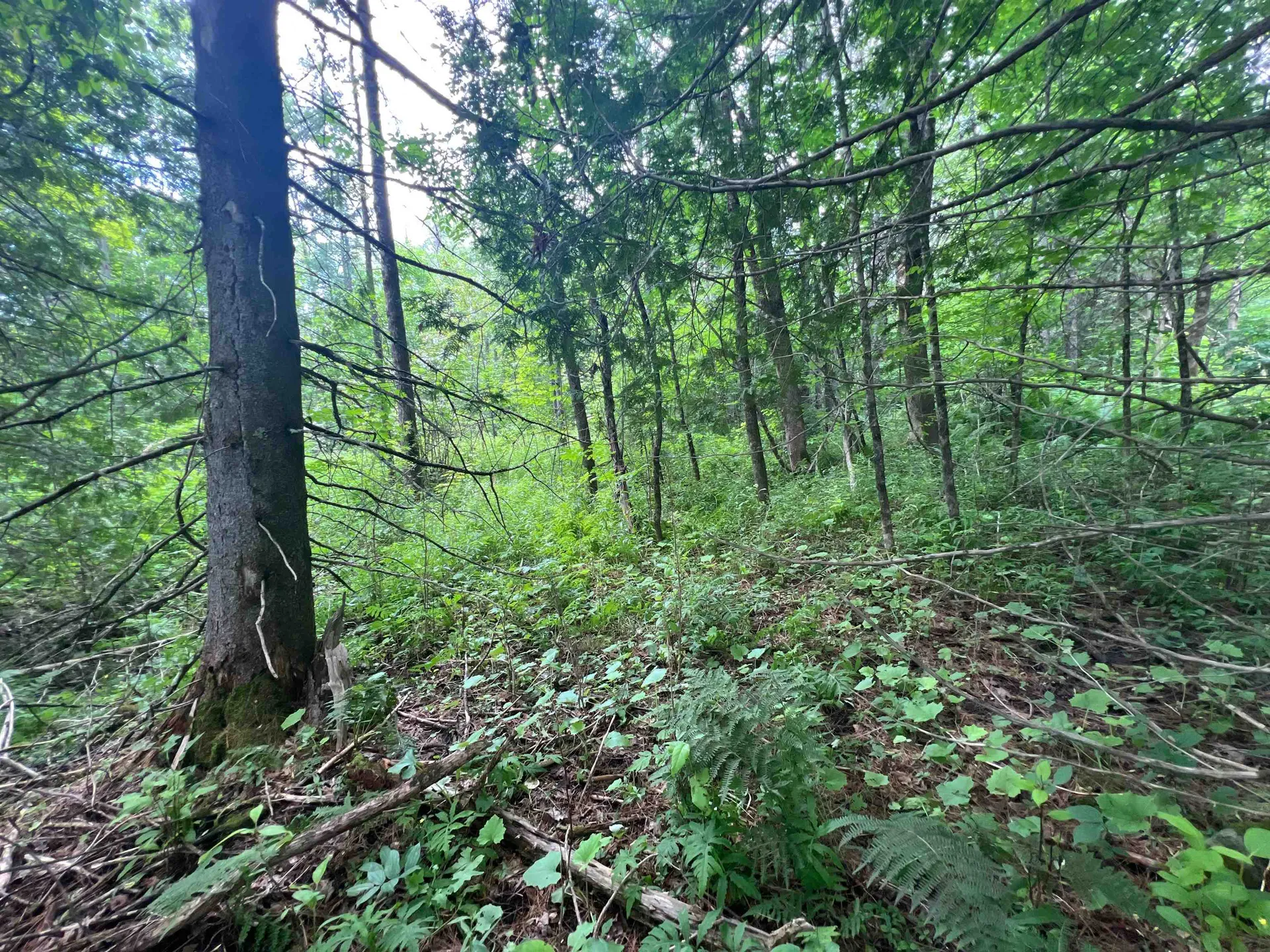 0 Berry Hill Road Sheffield VT 05866