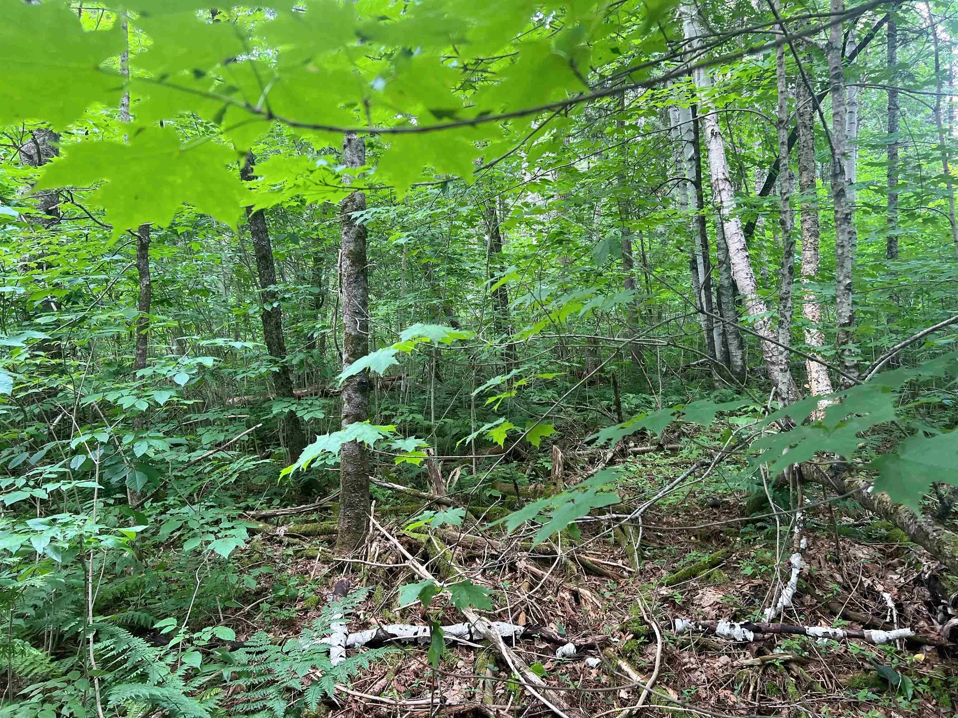 0 Berry Hill Road Sheffield VT 05866