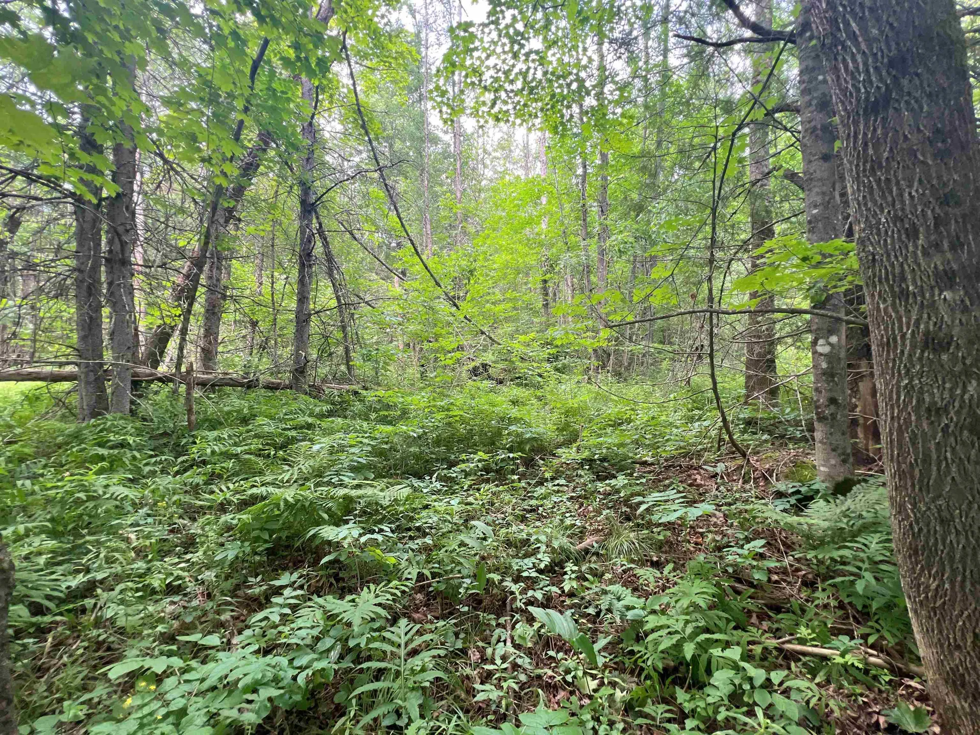 0 Berry Hill Road Sheffield VT 05866