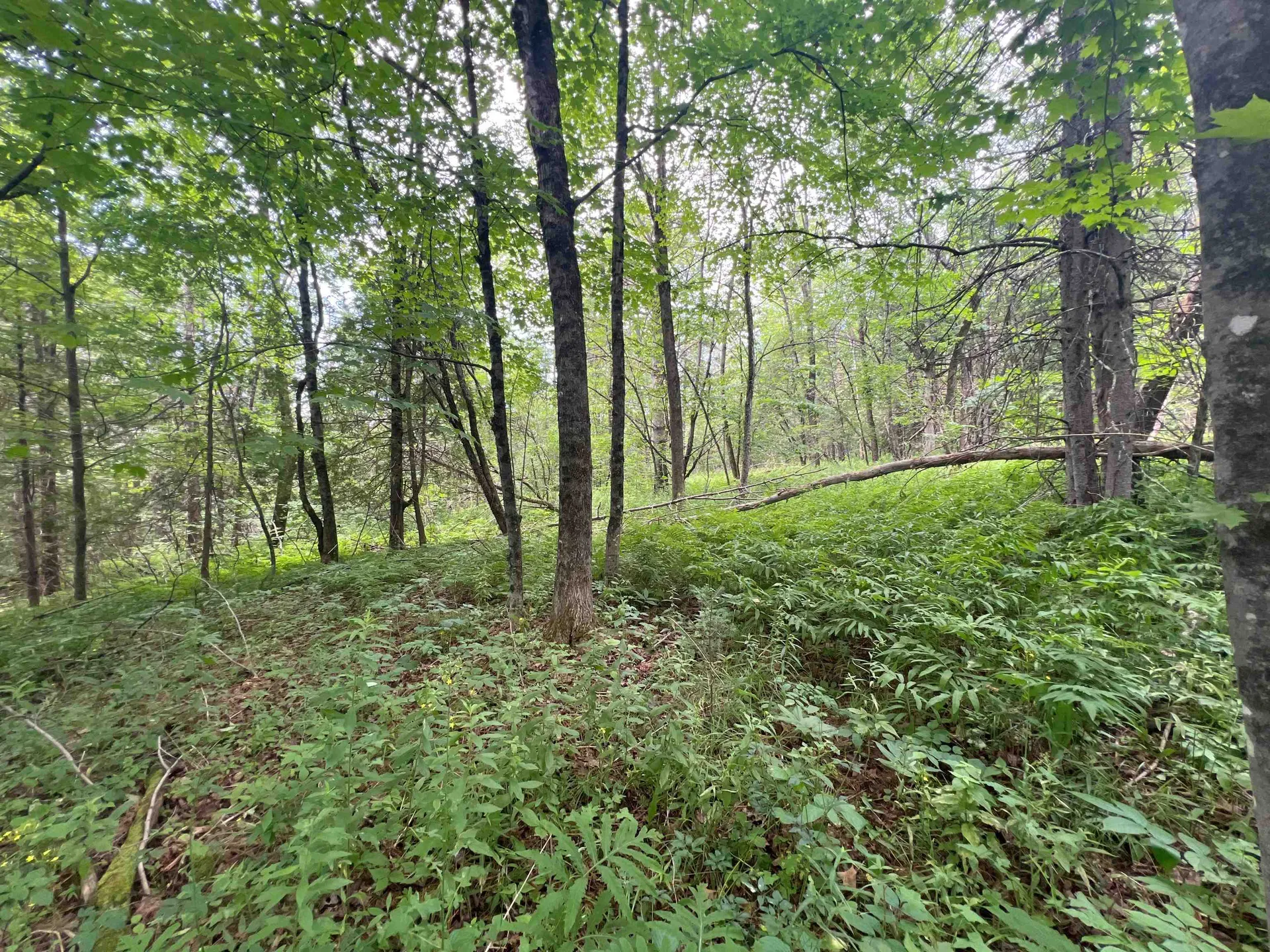 0 Berry Hill Road Sheffield VT 05866