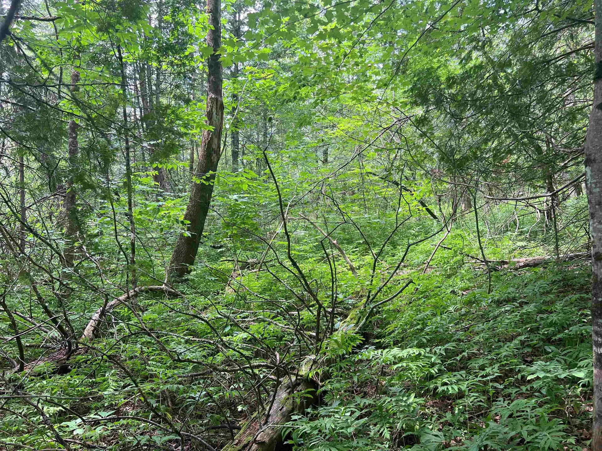 0 Berry Hill Road Sheffield VT 05866