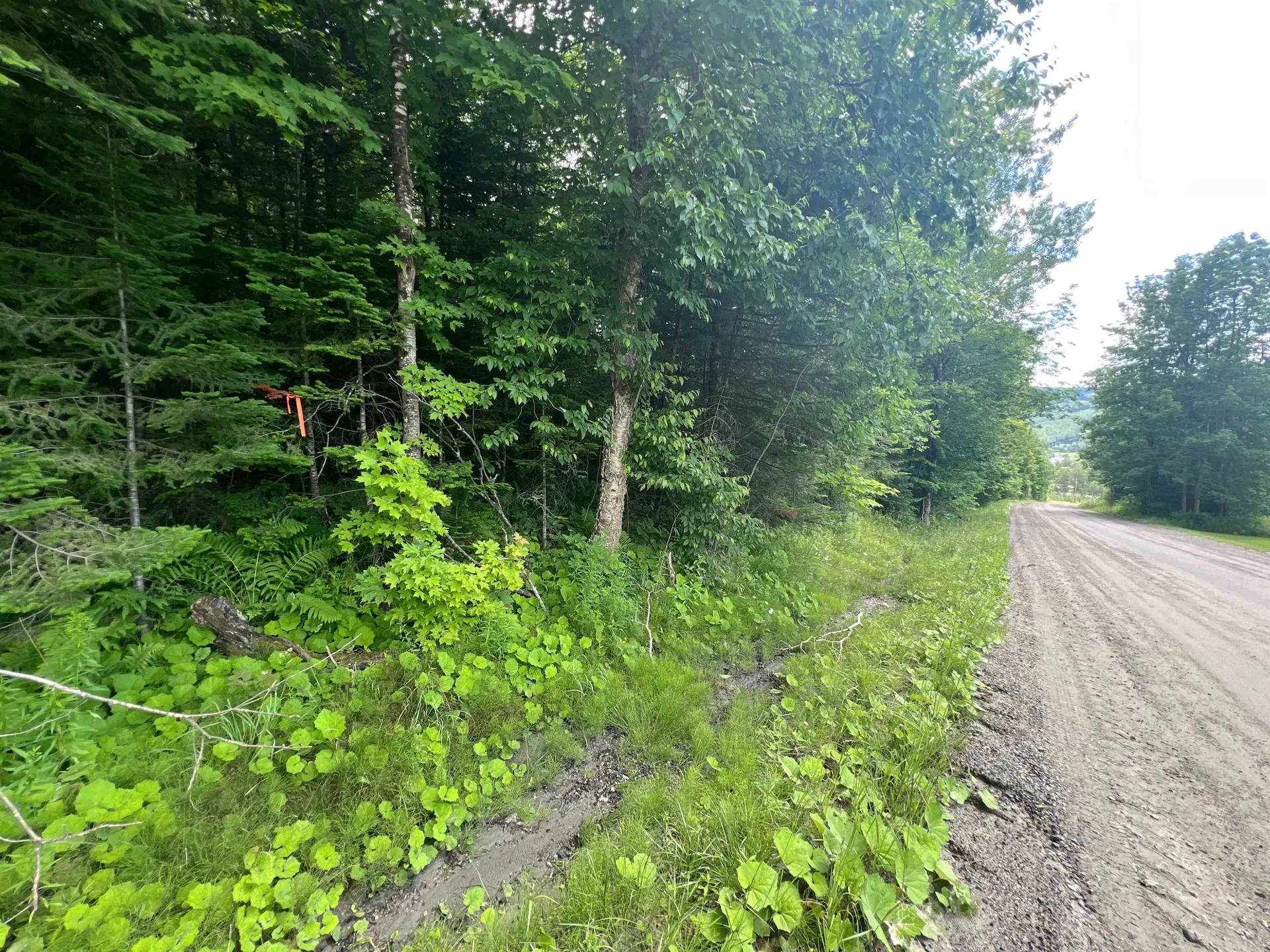 0 Berry Hill Road Sheffield VT 05866