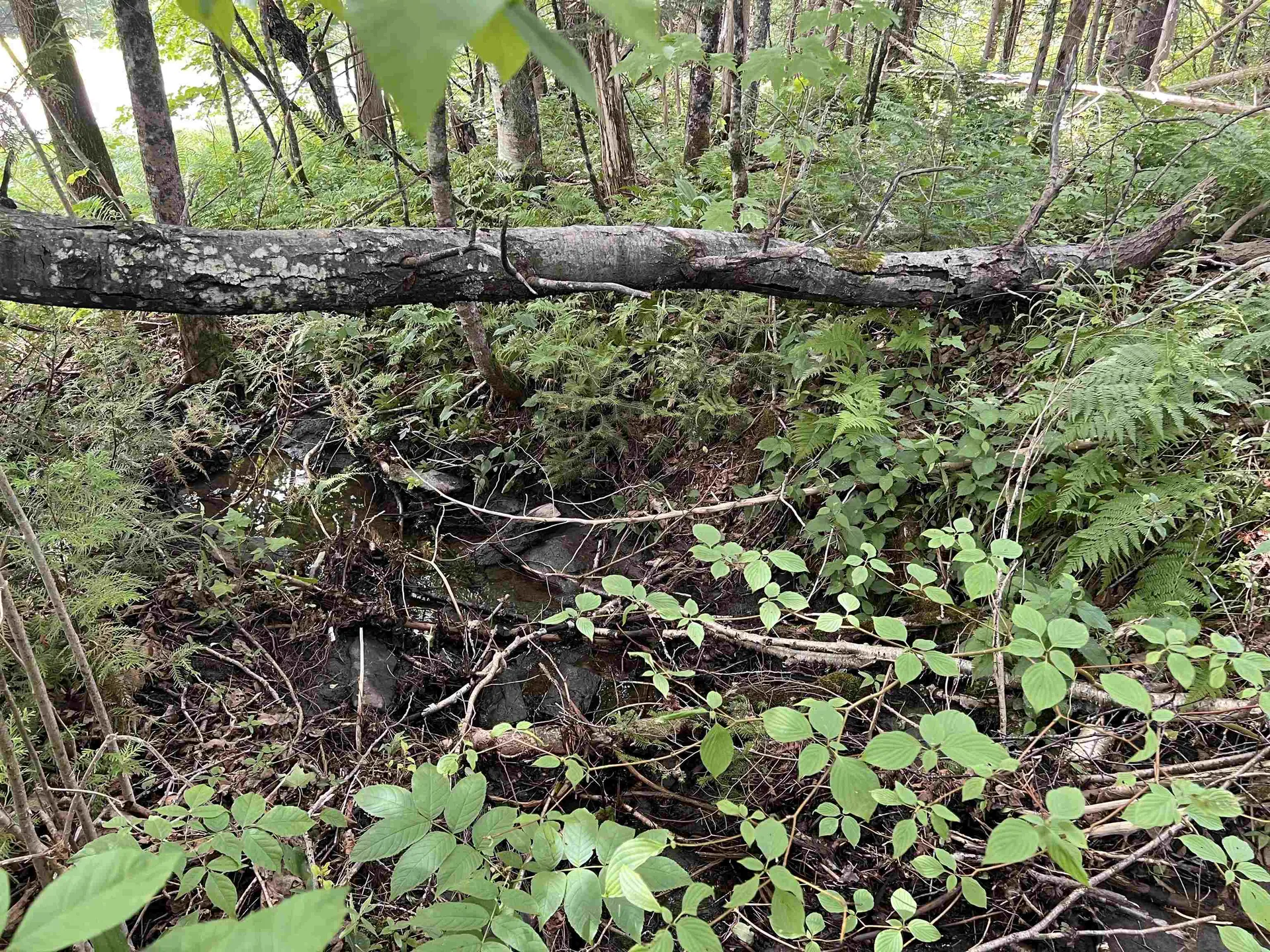 0 Berry Hill Road Sheffield VT 05866