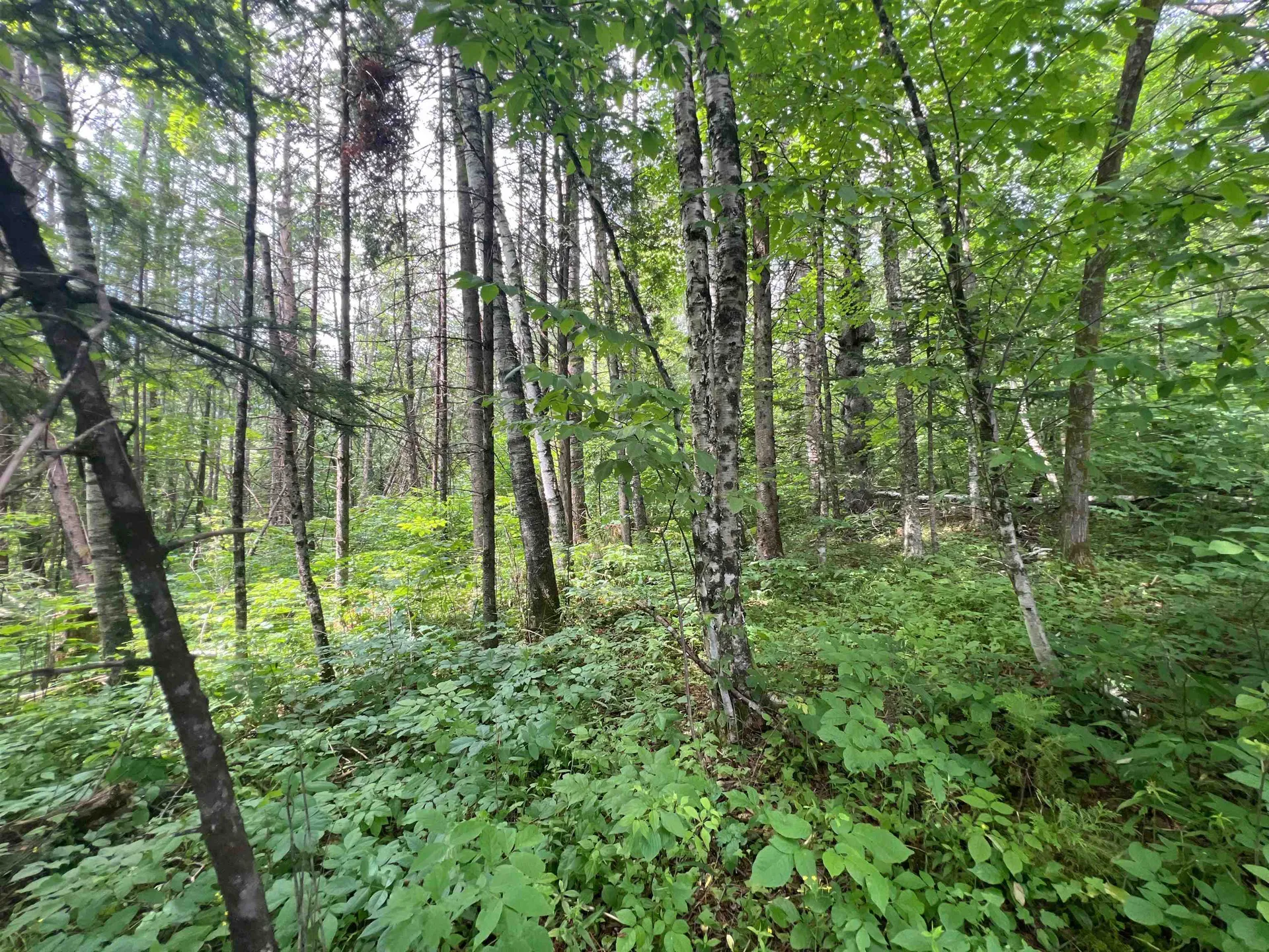 0 Berry Hill Road Sheffield VT 05866