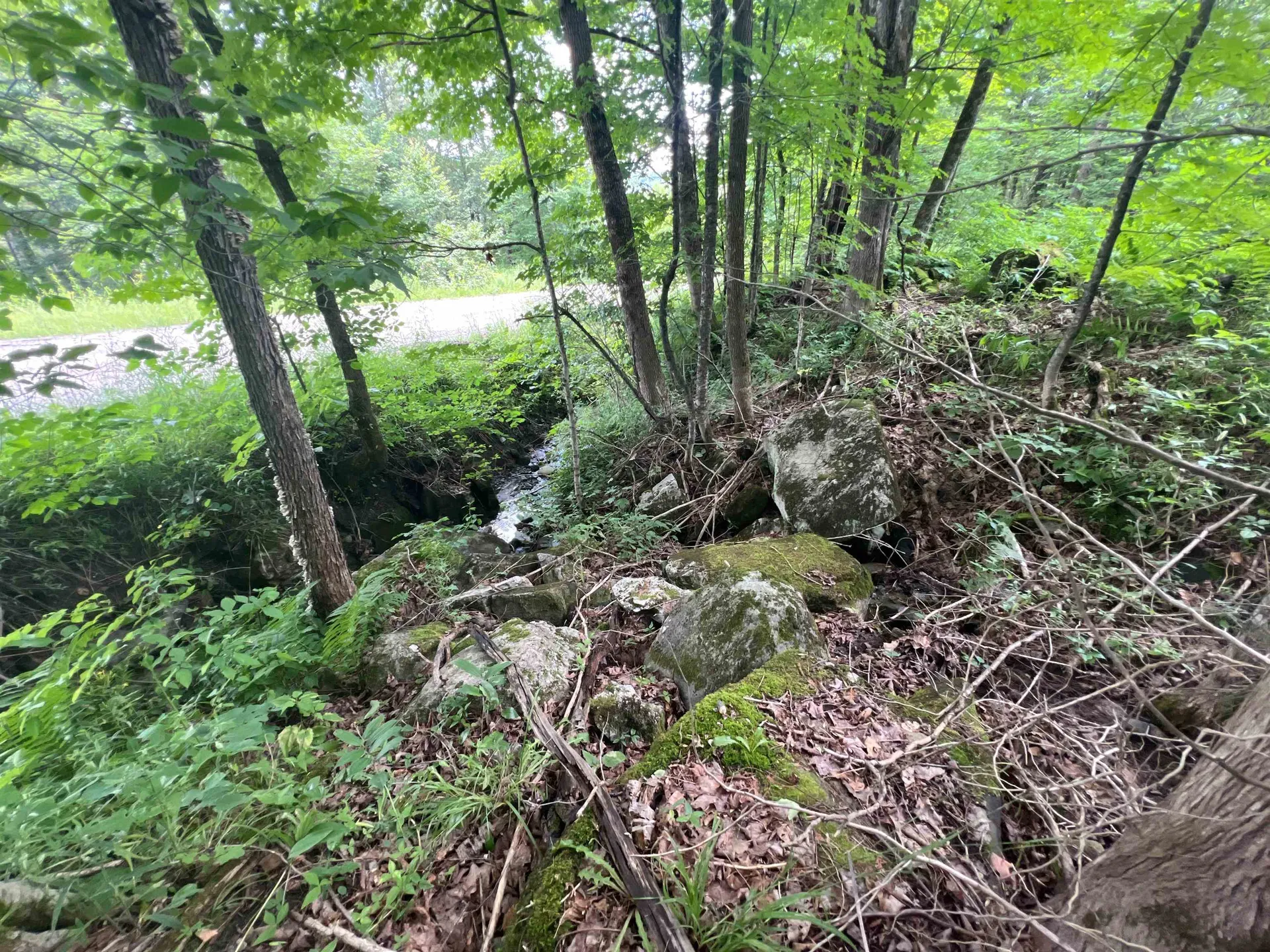 0 Berry Hill Road Sheffield VT 05866