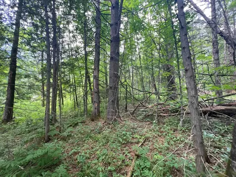 0 Berry Hill Road Sheffield VT 05866