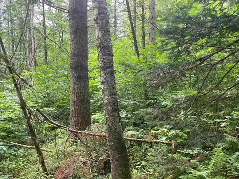 0 Berry Hill Road Sheffield VT 05866