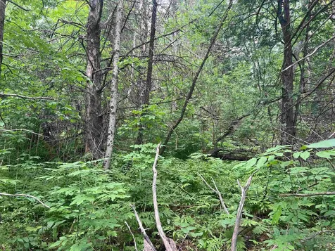 0 Berry Hill Road Sheffield VT 05866