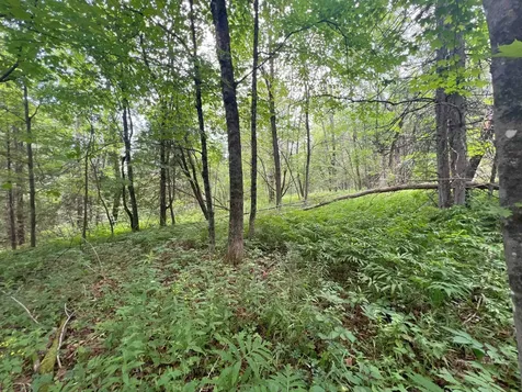 0 Berry Hill Road Sheffield VT 05866