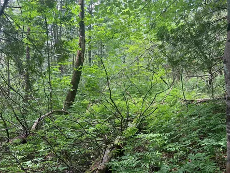 0 Berry Hill Road Sheffield VT 05866