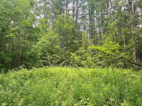 0 Berry Hill Road Sheffield VT 05866