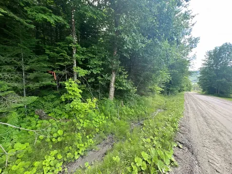 0 Berry Hill Road Sheffield VT 05866