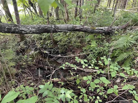 0 Berry Hill Road Sheffield VT 05866