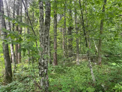 0 Berry Hill Road Sheffield VT 05866