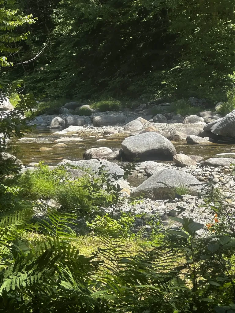 42 Dug Road Grafton VT 05146