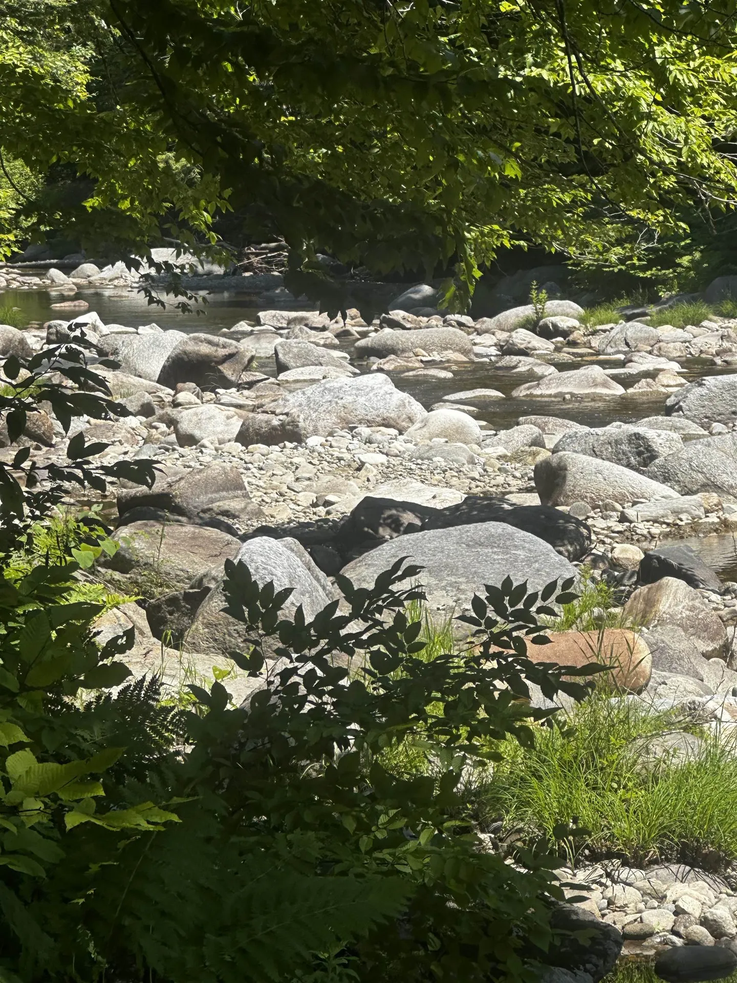 42 Dug Road Grafton VT 05146