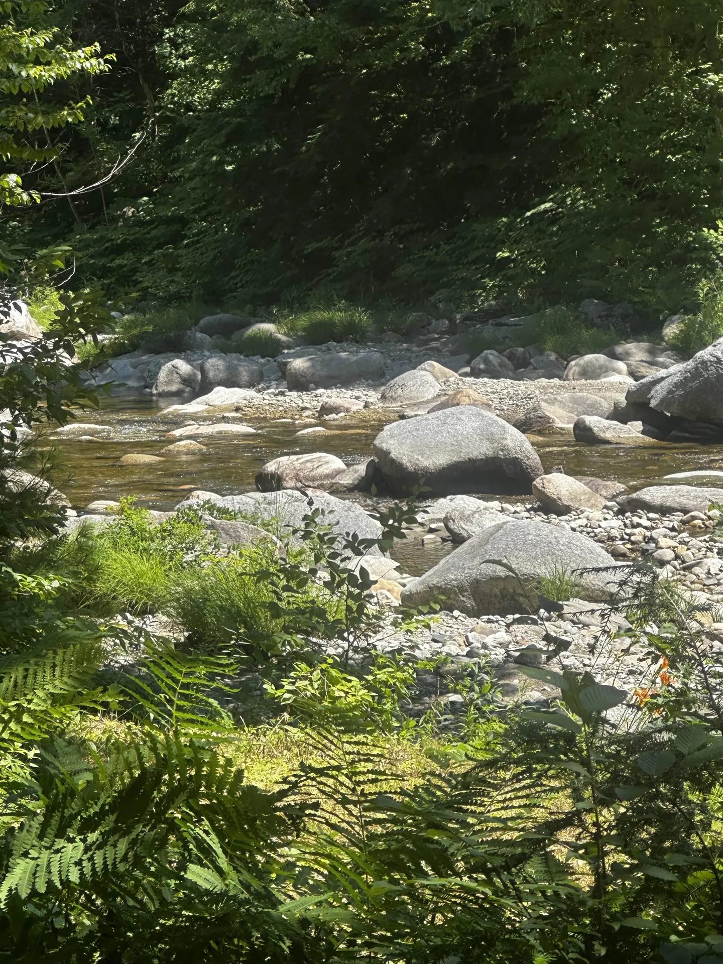 42 Dug Road Grafton VT 05146