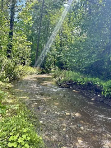 72 Brown Road Vershire VT 05079