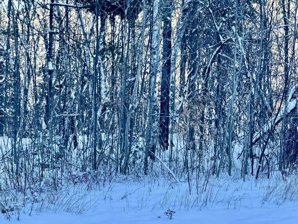 Us Route 302 Bartlett NH 03812