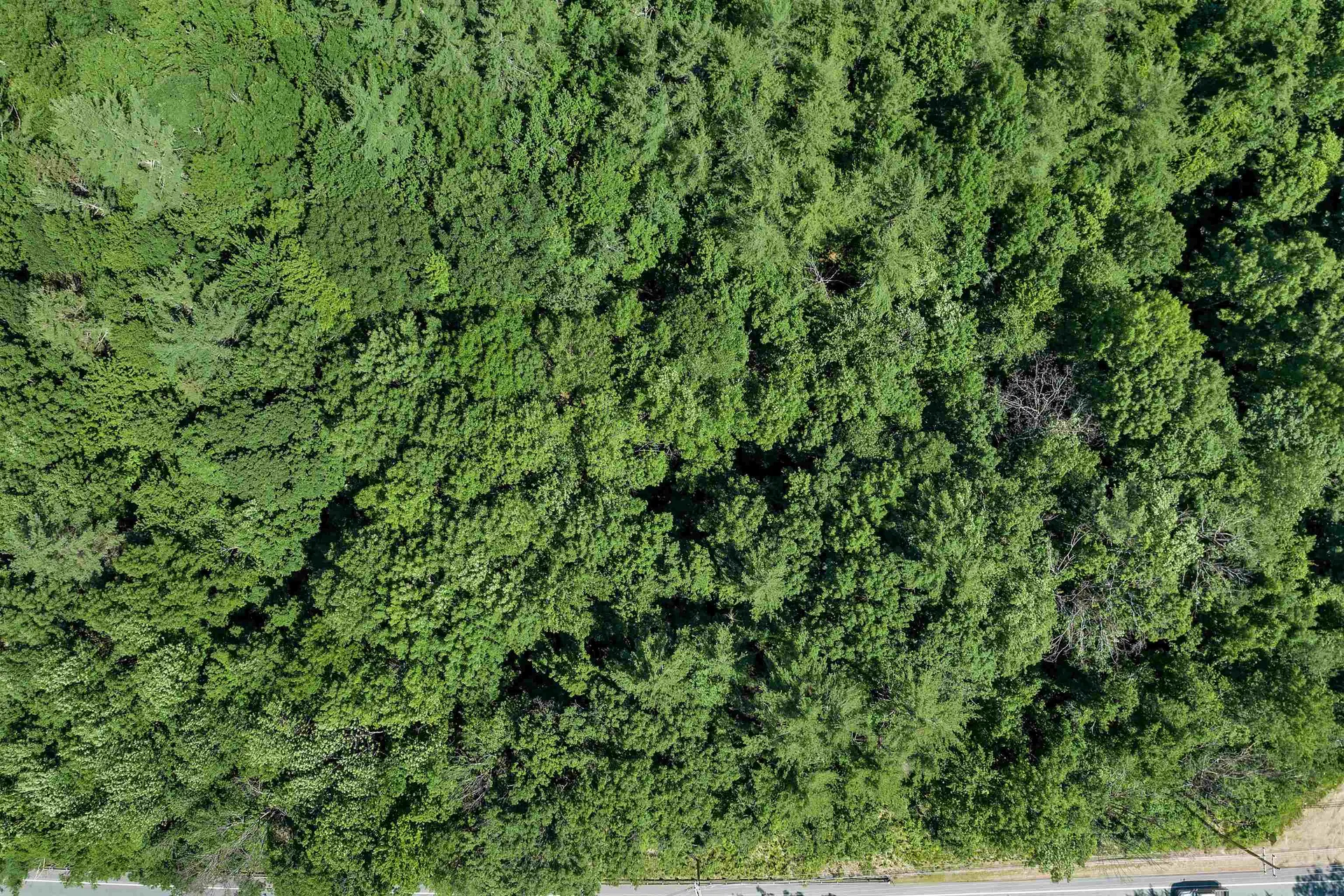 Us Route 302 Bartlett NH 03812