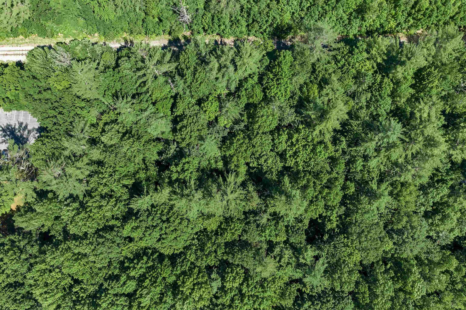 Us Route 302 Bartlett NH 03812